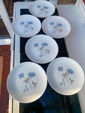 Wedgewood Ice Rose Salad Plates (20cm). Set of 6