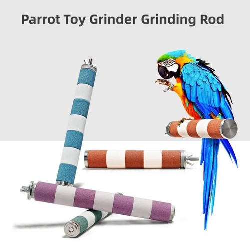 Bird claw beak - bird, grinding