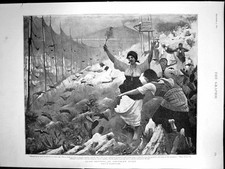 Old Quail Netting Southern Italy Blinded Decoy Quail Large Cage 1892 Victorian