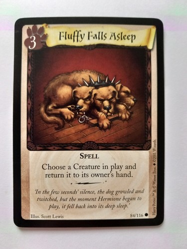 Harry potter trading card game - potter,
