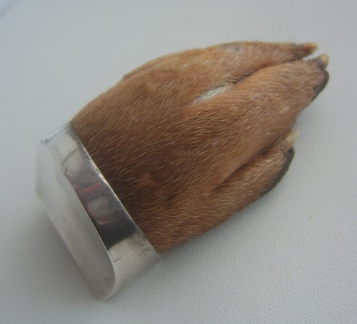 Antique sterling silver otter - antique,