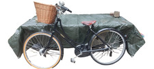 Pashley Princess Sovereign 20"