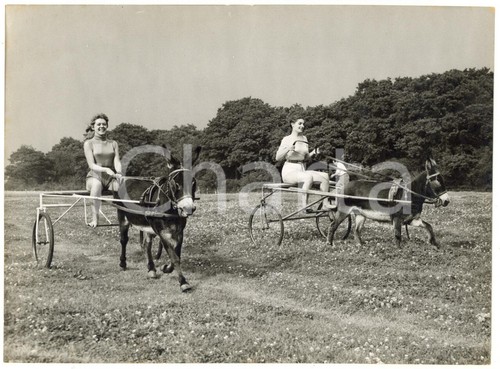 1957 cuckfield windmill - -,