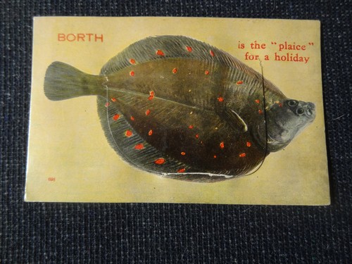 Borth the plaice comic pull - borth,