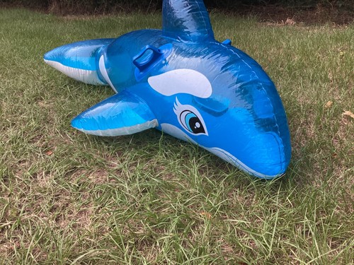 Whale inflatable ride on - ,