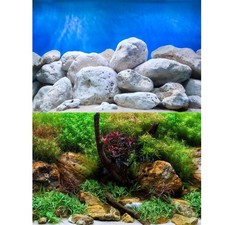 Marina Aquatic Garden / Bright