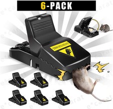 6 Pack Mouse Traps Rat Mice
