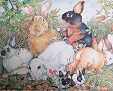 Vintage Pimpernel Rabbit Cork