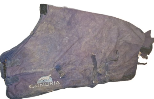 5ft turnout rug - 3",