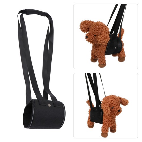 Dog support harness rear - dog,