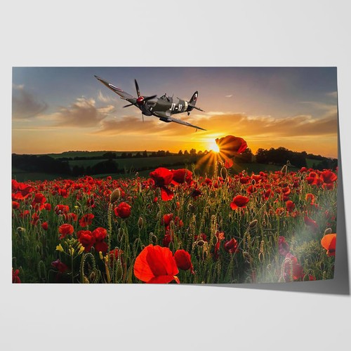 Poppy field spitfire - poppy,