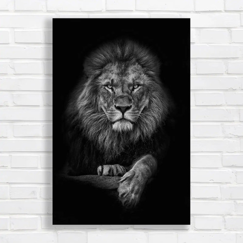 Majestic lion black - black, and