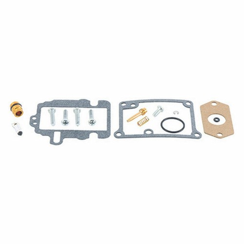 Carburetor revision kit - carburetor,