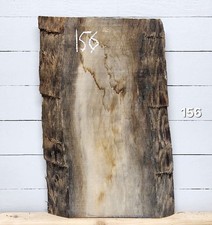 Live Edge Oak Slab – 720mm x