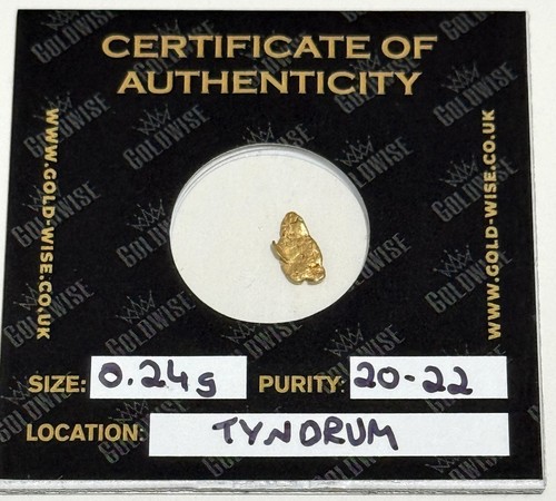 Rare raw gold scottish nugget - rare,