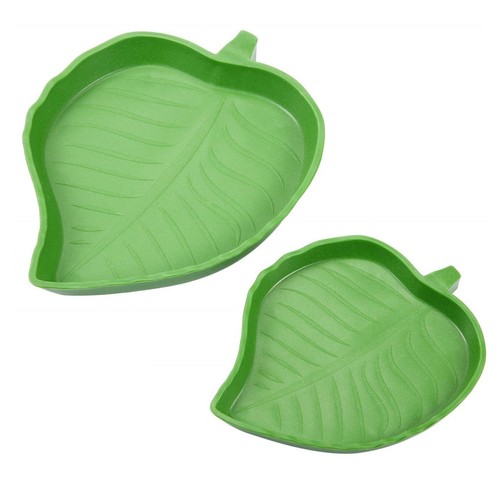 Leaf shape reptile feeding - reptile,
