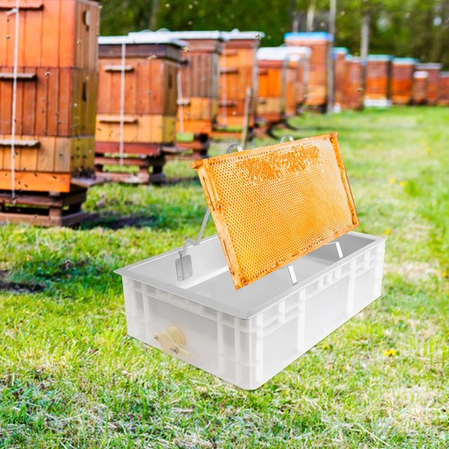 Stainless steel honey - stainless,