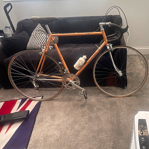 Raleigh gran sport 1983