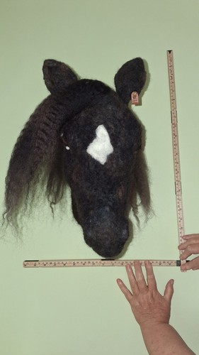 Arabian horse dark brown - brown, head