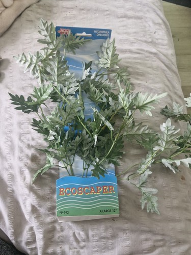 Living world ecoscaper - ecoscaper, fish