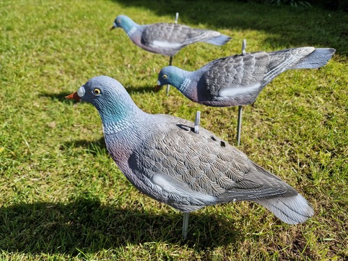 Pigeon decoys set nice - decoys, 12