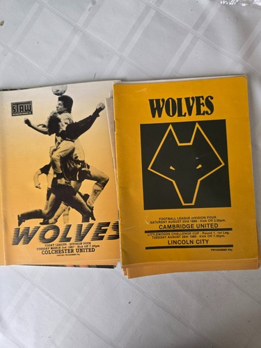 Wolverhampton wanderers wolves - wolverhampton,