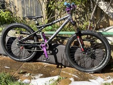 Custom 24" Single Speed GT