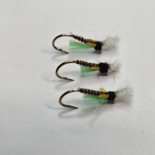 Brown buzzer fly - 3,