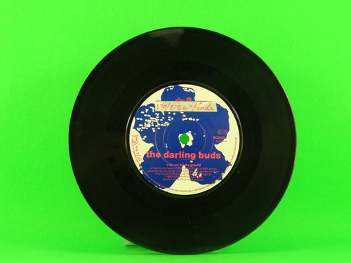 Darling buds hit the ground - darling,