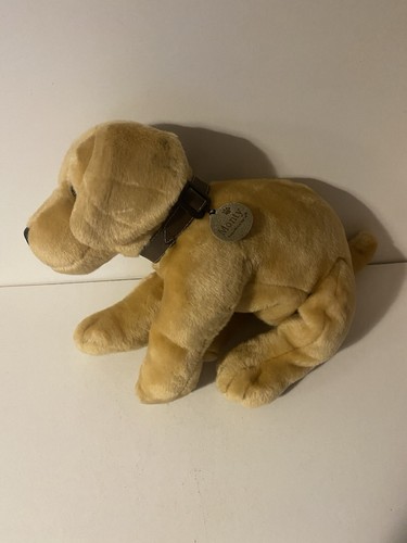 Monty the labrador puppy - monty,