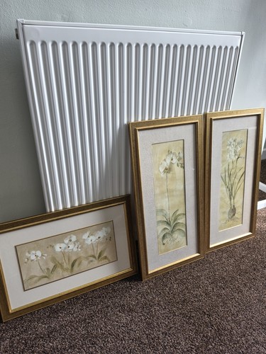 Laura ashley home framed - laura,