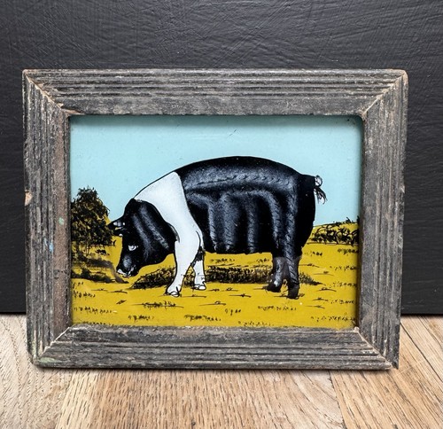 Indian pig vintage reverse - pig,