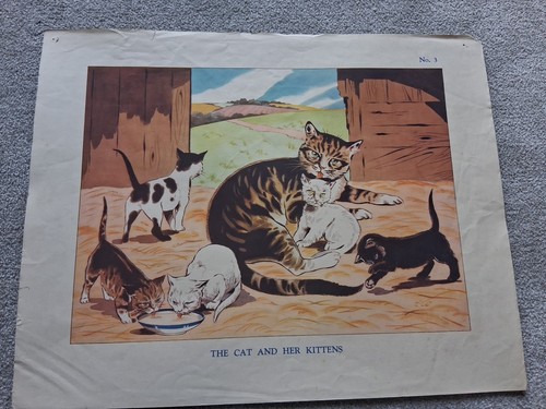 Macmillan vintage educational - vintage,