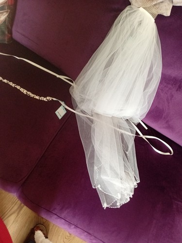 Brand new veil - new, jewelled