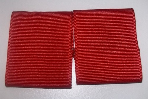 Bsa scout leader - leader, red