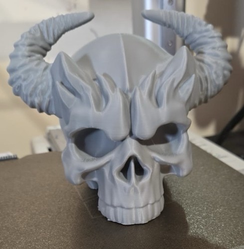 Skull
