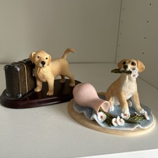 Labrador retriever puppies  X2