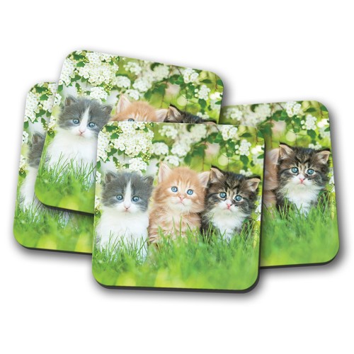 Set gorgeous kittens - set,