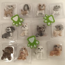 CHOOSE YOUR DOG - 12 TO