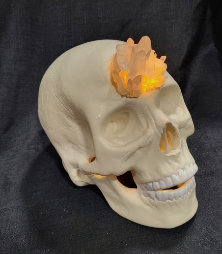 Human skull crystal skulls - human,