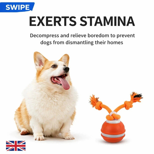 Smart automatic dog - smart,