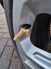 Novelty Car Bike Tyre Willy