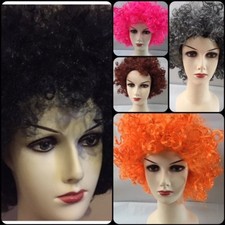 Rasta Wig CURLY AFRO WIG 70's