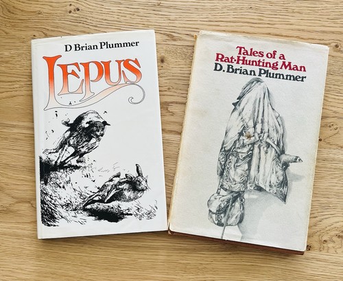 Lepus tales a rat hunting - a,