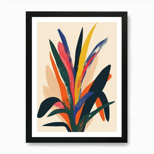 Bromeliad plant minimalist - bromeliad,