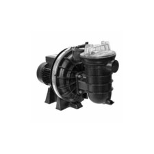 1HP (0.75kW) Sta-Rite Swimming