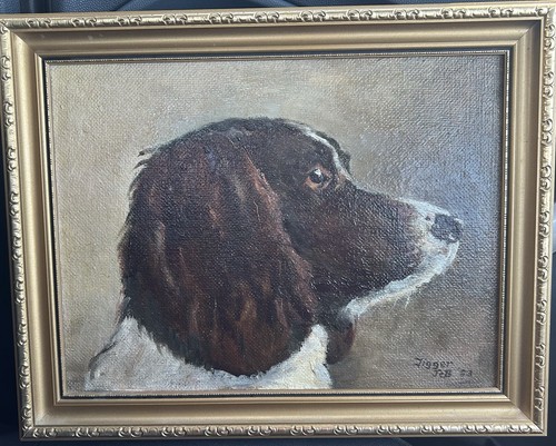 Spaniel dog oil canvas - spaniel, on