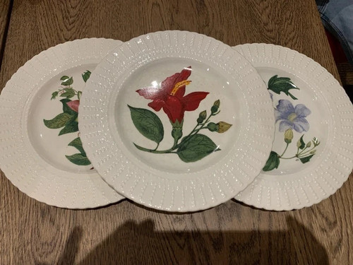 Royal cauldon bristol - royal,