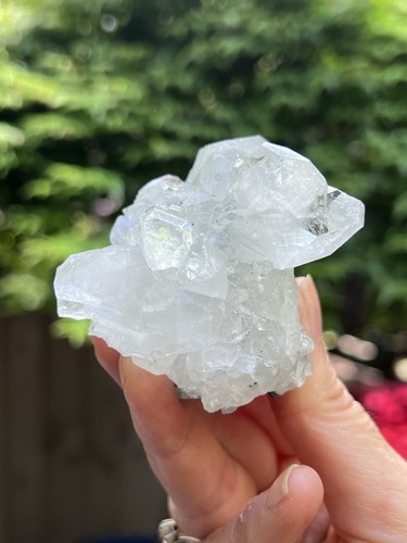 Apophyllite cluster mineral - apophyllite,