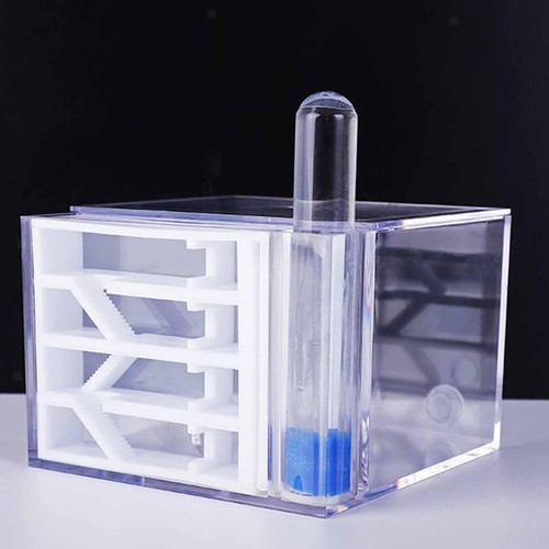 Ant farm habitat - ant, supplies